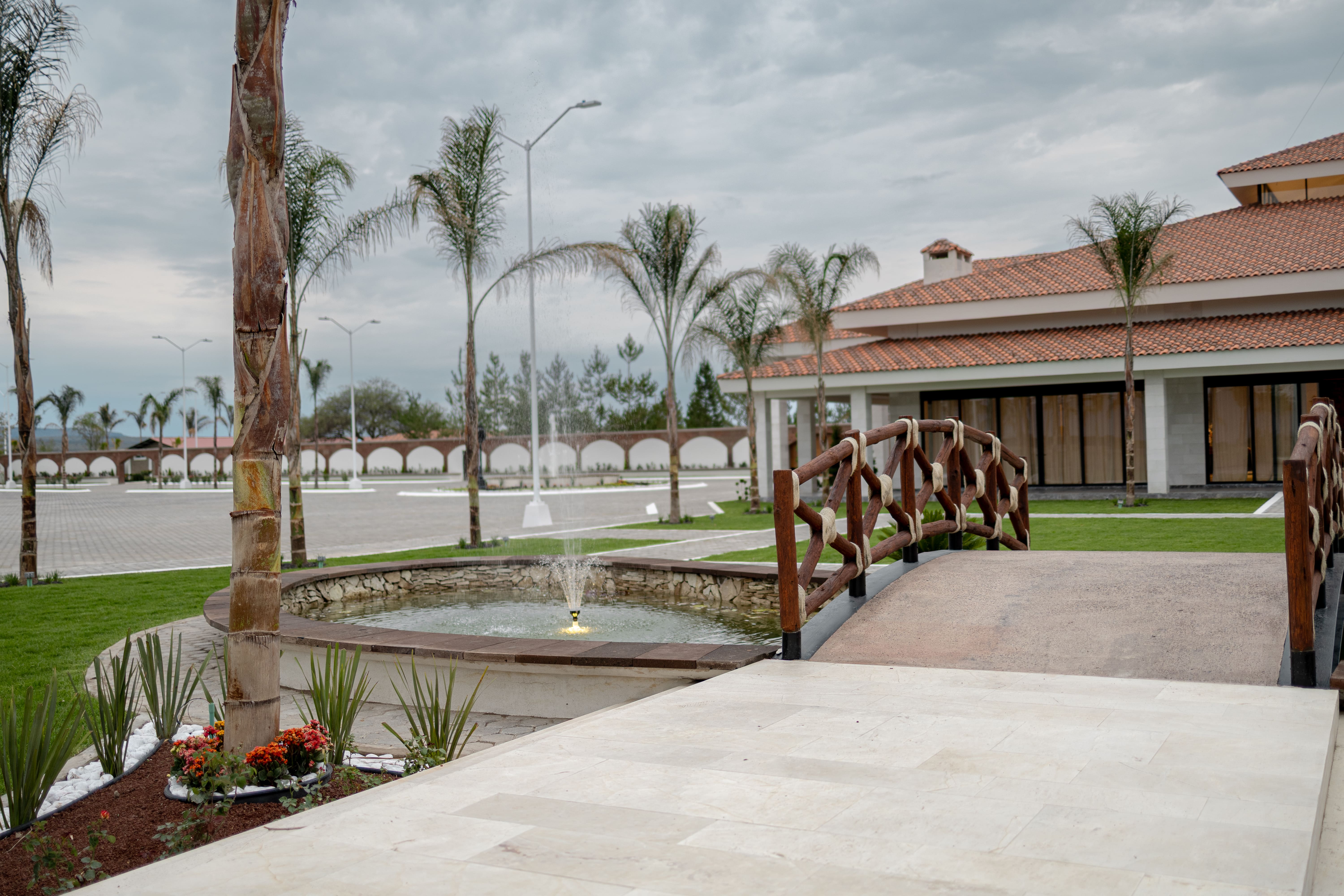 Imagen de un árbol en el fondo de un jardín