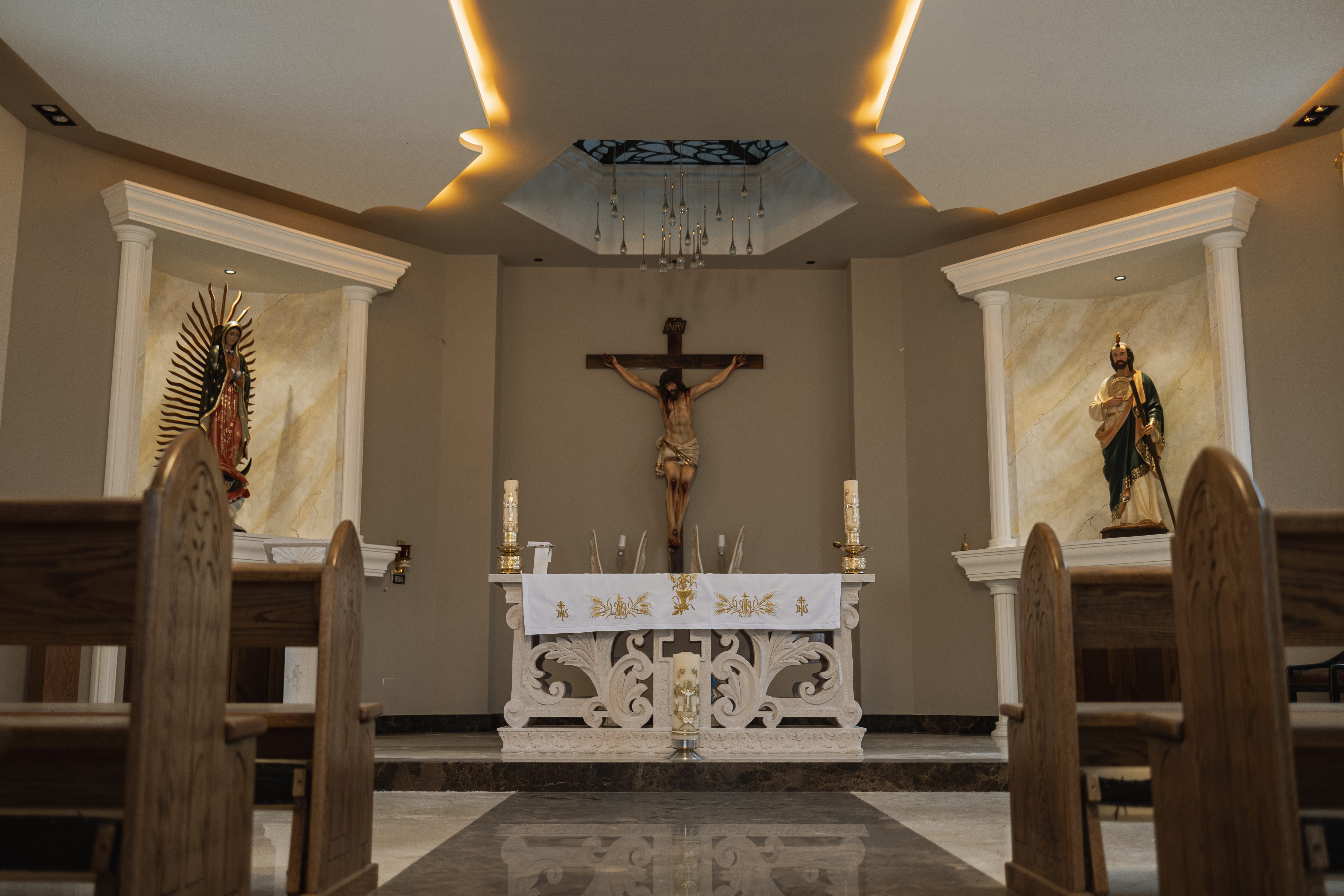 Imagen de un árbol en el fondo de un jardín